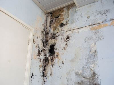 About Water Damage Repair Pros - emergency water damage toronto experts in Toronto